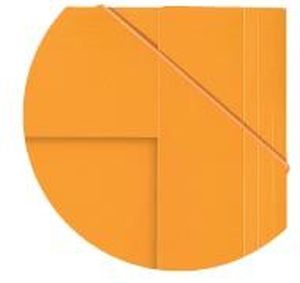 Oxford INTERNATIONAL Meetingbook, 160 pages, ft A4+, quadrill&eacute; 5 mm