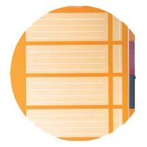 Oxford INTERNATIONAL organiserbook, 160 bladzijden, ft A4+, geruit 5 mm