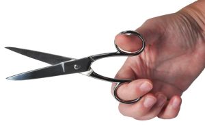 Desq schaar 15 cm, verchroomd, symmetrische ogen