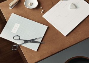 Desq schaar 18 cm, verchroomd, asymmetrische ogen