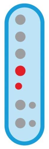 Maped plastic blokfluit moderne vingerzetting