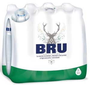 Bru lichtsprankelend water, fles van 50 cl, pak van 24 stuks