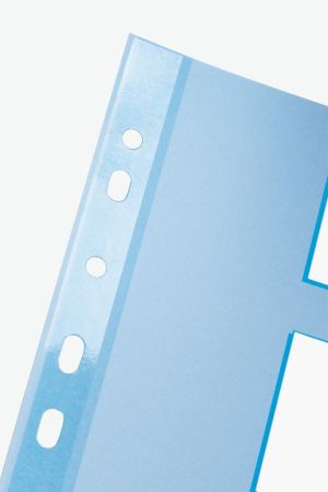 Esselte tabbladen, voor ft A4, karton, 10 tabs, 11-gaatsperforatie