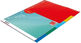 SOHO tabbladen, A4, PP, 23-gaatsperforatie, 5 tabs, geassorteerde kleuren