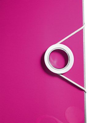 Leitz WOW classeur &agrave; levier Active, dos de 8,2 cm, rose