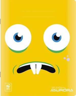 Splendid cahier, 48 pages, ft 16,5 x 21 cm, quadrill&eacute; 10 mm