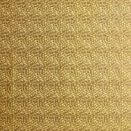 Papier cadeau, 70 cm x 2 m, holographie