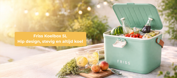 Trendy zomercadeau: Friss Koelbox 5L