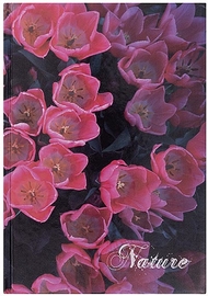 OFFICE products schrift, Nature, met harde kaft, A4, 96 blad, met kantlijn, gelijnd