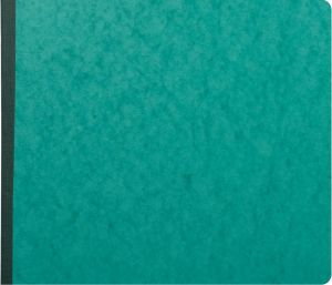 Exacompta registers, ft 27 x 32 cm, 13 kolommen op 1 bladzijde, 31 lijnen, 80 bladzijden