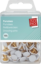 SOHO punaises, bo&icirc;te de 100 pi&egrave;ces, blanc