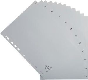 Exacompta tabbladen maandelijks A4, uit PP, 12 tabs, jan-dec, grijs, Frans
