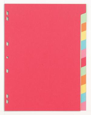 Class'ex tabbladen 12 tabs, ft A4,7-gaat