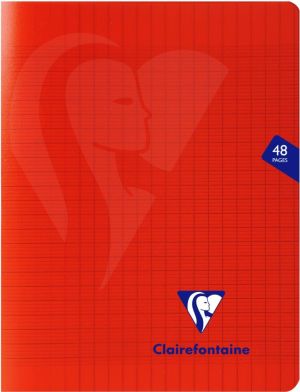 Clairefontaine cahier Mimesys, ft 17 x 22 cm, 48 pages, couverture en PP, s&eacute;y&egrave;s, couleurs assorties