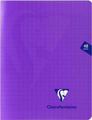 Clairefontaine cahier Mimesys, ft 17 x 22 cm, 48 pages, couverture en PP, s&eacute;y&egrave;s, couleurs assorties