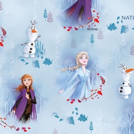 Papier cadeau, 70 cm x 2 m, Disney