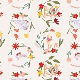 Papier cadeau, 70 cm x 2 m, Disney