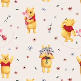 Papier cadeau, 70 cm x 2 m, Disney