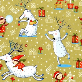Papier cadeau, 70 cm x 2 m, No&euml;l, Pr&auml;senta enfant