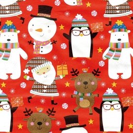 Papier cadeau, 70 cm x 2 m, No&euml;l, Pr&auml;senta enfant