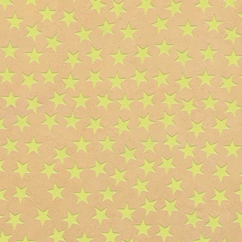 Papier cadeau, 70 cm x 1,5 m, Eco Fun, flocage de mousse