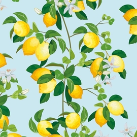 Papier cadeau, 70 cm x 2 m, Premium Classic