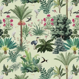 Papier cadeau, 70 cm x 2 m, Ambiance Jungle