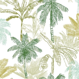 Papier cadeau, 70 cm x 2 m, Ambiance Jungle