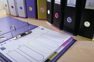 OXFORD MyColour tabbladen, formaat A4, uit gekleurde PP, 11-gaatsperforatie, 10 tabs