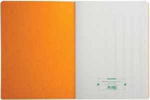 Exacompta registers, ft 32 x 25 cm, 4 kolommen op 1 bladzijde, 31 lijnen, 80 bladzijden