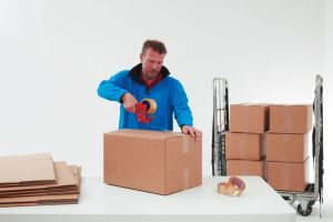 Tesa 4089 verpakkingsplakband, ft 50 mm x 66 m, PP, transparant