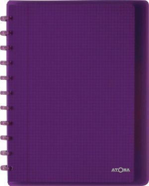 Atoma Trendy cahier, ft A4 +, 120 pages, quadrill&eacute; 5mm, 6 intercalaires et 5 pochettes, assorti