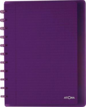 Atoma Trendy cahier, ft A4 +, 120 pages, commercieel quadrill&eacute;, 6 intercalaires et 5 pochettes, assorti