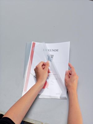 Leitz L-map premium PVC, ft A4, tranparant, pak van 100 stuks