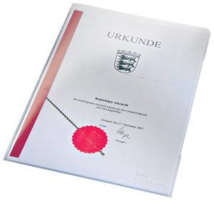 Leitz L-map premium PVC, ft A4, tranparant, pak van 100 stuks