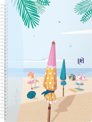 Oxford Horizons spiraalschrift, ft B5, 120 bladzijden, geruit 5 mm, geassorteerde kleuren