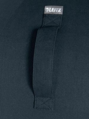 Leitz Ergo Cosy ballon d'assise active, gris