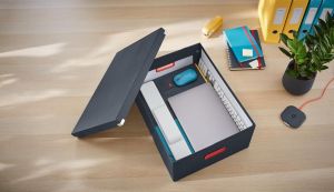 Leitz Cosy Click & Store grote opbergdoos, grijs