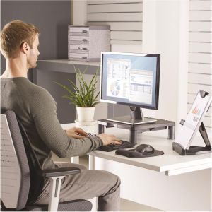 Fellowes beeldschermhouder in de hoogte verstelbaar min. 50 tot 100 mm, zonder basis