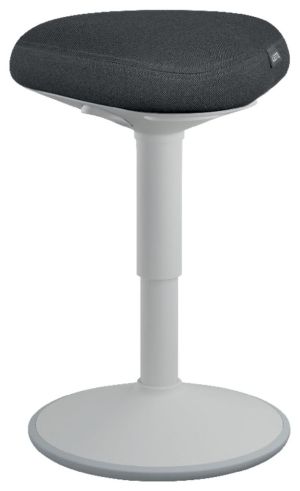Leitz Ergo actieve Zitkruk met comfortzi