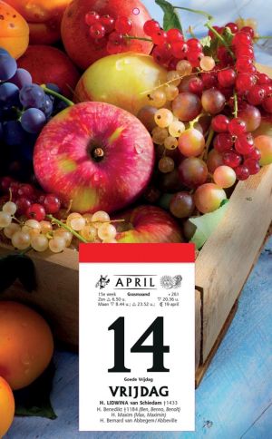 Rugschild met doorlopende foto voor de 'Druivelaar' en de 'Sablier', 2026