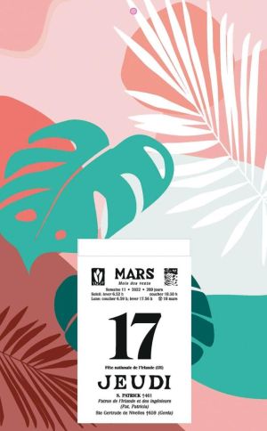 Rugschild met doorlopende foto voor de 'Druivelaar' en de 'Sablier', 2026