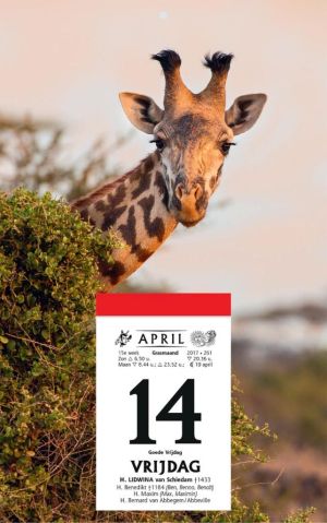 Rugschild met doorlopende foto voor de 'Druivelaar' en de 'Sablier', 2026