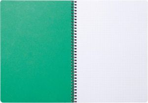Clairefontaine FOREVER spiraalschrift, gerecycleerd, A4, 90g, 120 bladzijden, geruit 5 mm, groen