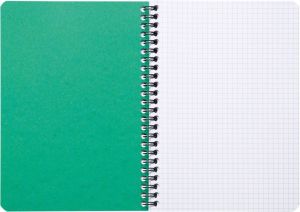 Clairefontaine FOREVER spiraalschrift, gerecycleerd, A5, 90g, 120 blz, geruit 5 mm, geassorteerd