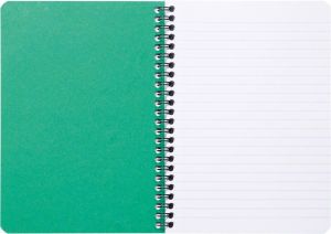 Clairefontaine FOREVER spiraalschrift, gerecycleerd, A5, 90g, 120 bladzijden, gelijnd, assorti