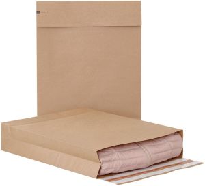 e-Green pochette &agrave; fond plat,ft 590 x 450 x 100 + 95 mm, bo&icirc;te de 100 pi&egrave;ces