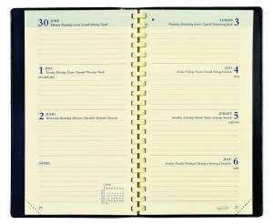 Brepols Interplan Genova, zwart, 2026