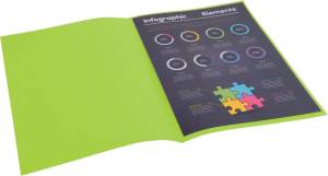 Exacompta Rock's 80 dossiermap, ft 22 x 31 cm, pak van 100, muntgroen