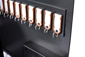 Pavo Magnettag sleutelhanger, pak van 10 stuks, assorti